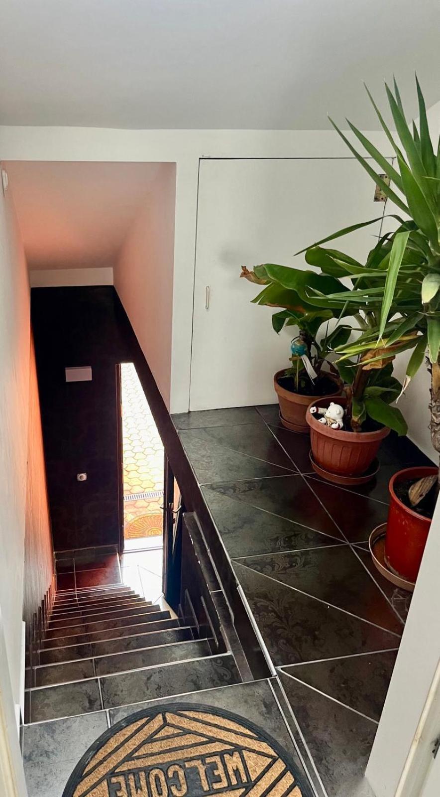 Chill Apartman Budakalász Eksteriør billede